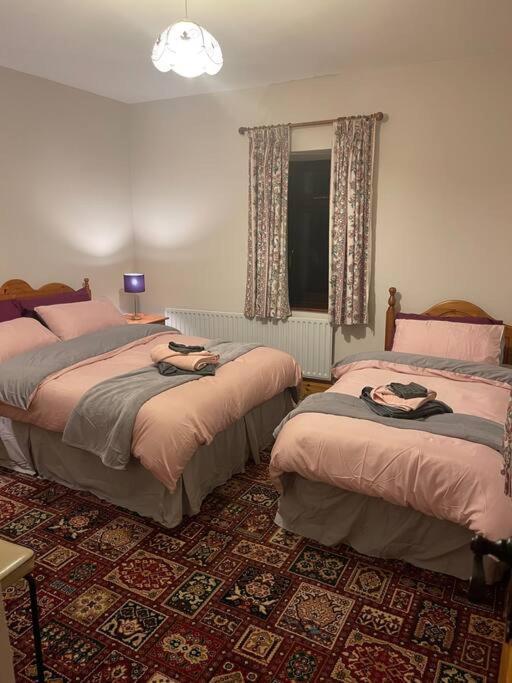 Grogagh Hill Cottage سلايغو المظهر الخارجي الصورة